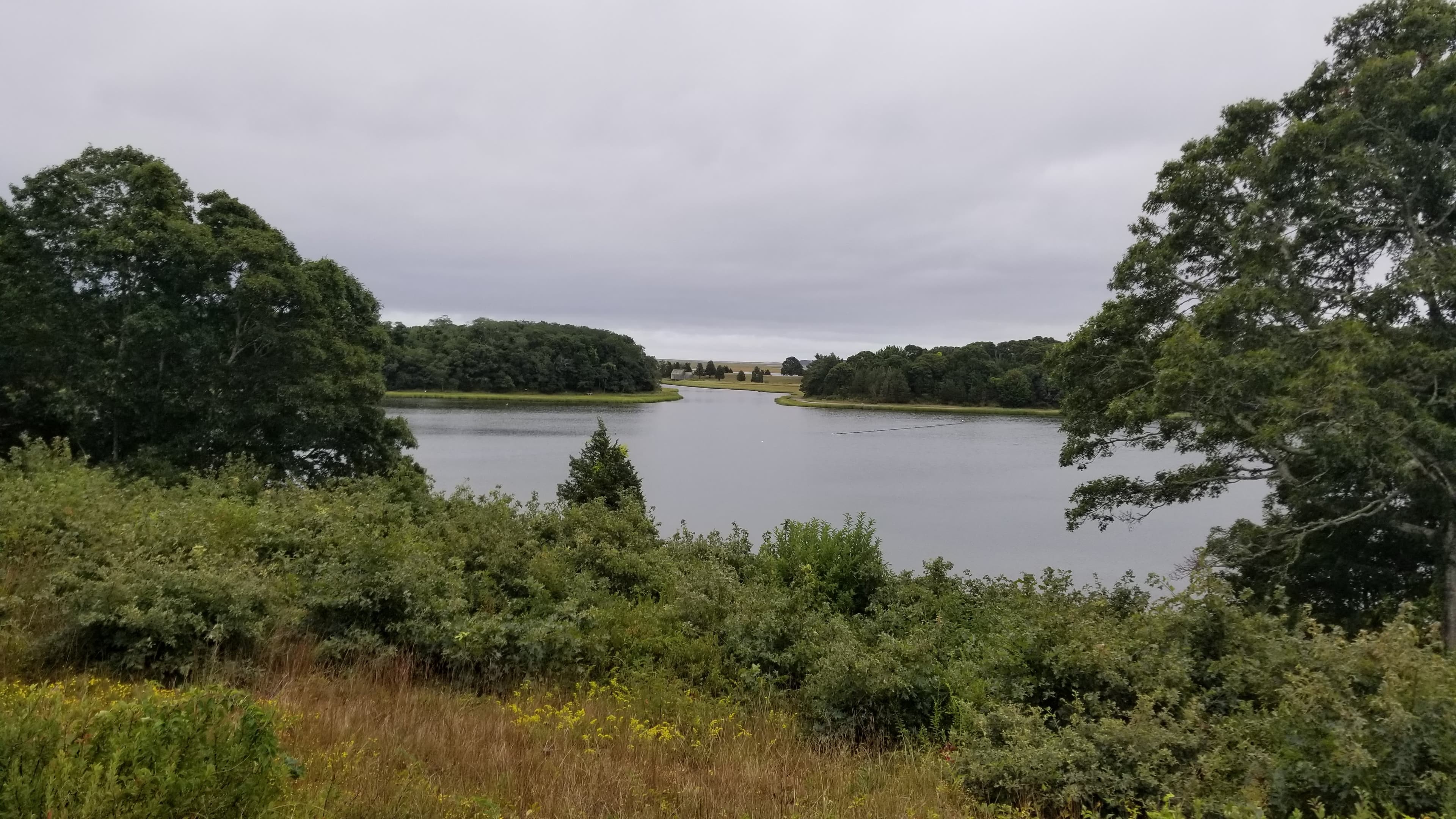Serene landscape featuring a calm lake surrounded by greenery and overcast skies.