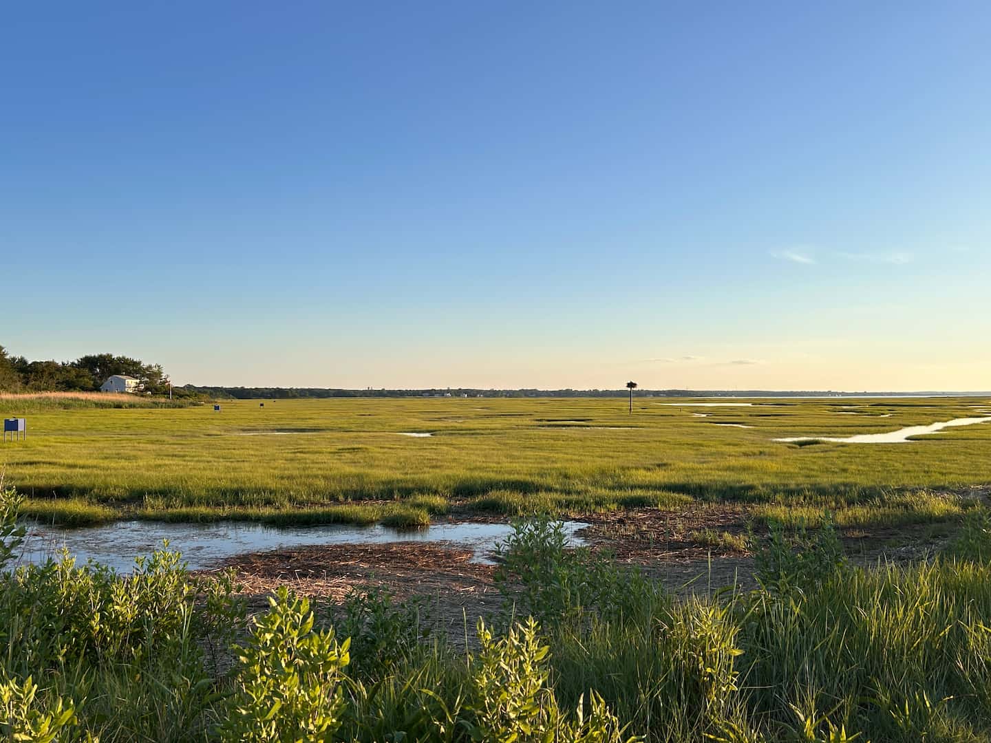 A serene landscape featuring green marshland under a clear blue sky.