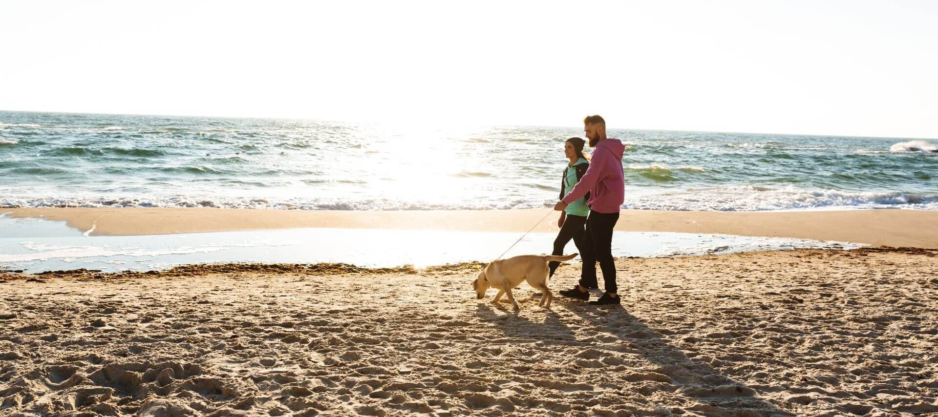 A couple walks a dog along a sandy beach at sunset.