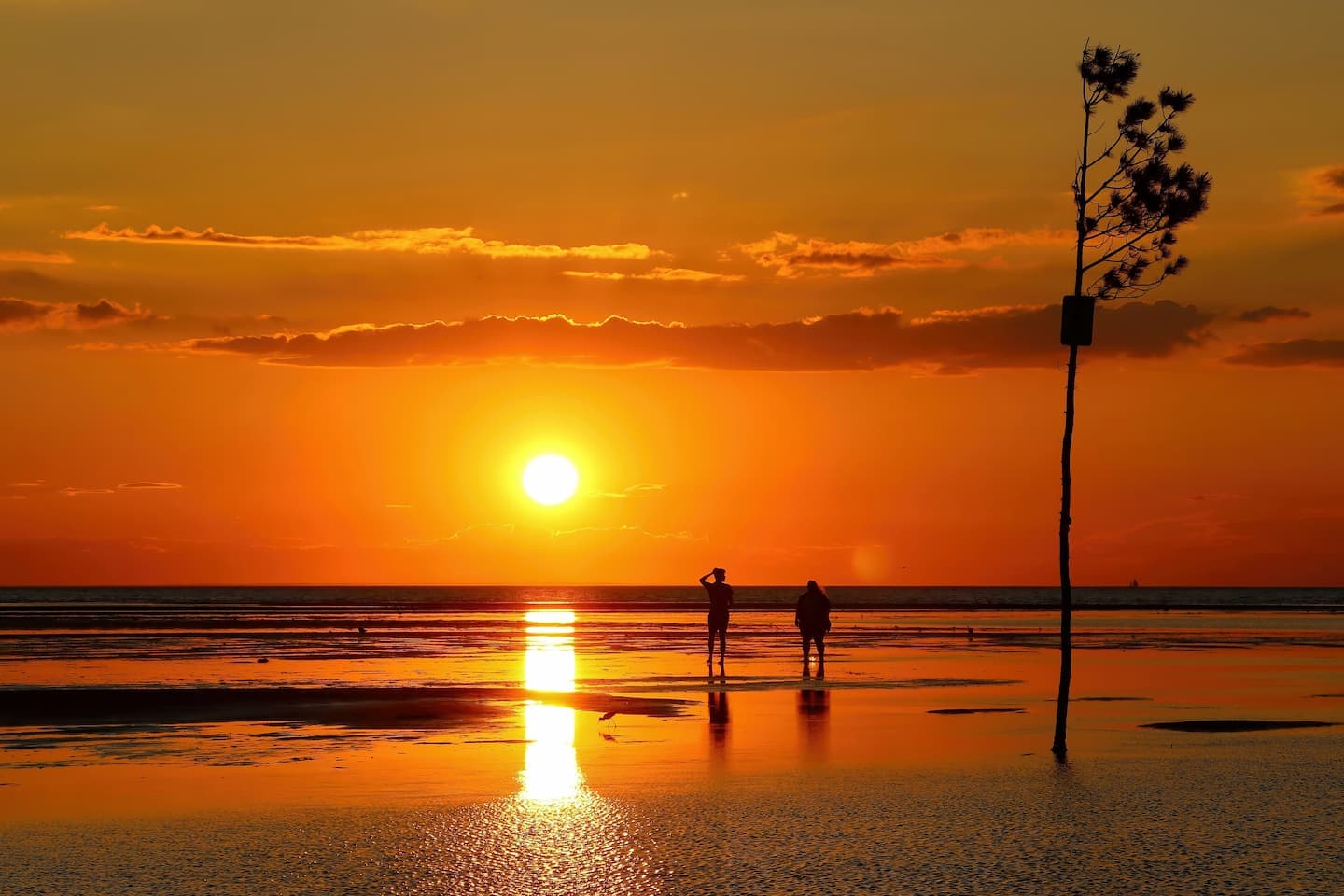 A couple watching the Cape Cod sunset at Rock Harbor in Orleans